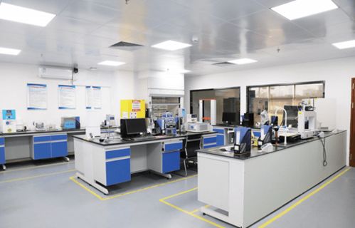 海康威视领导莅临恒创新材料，共探新材料技术研发新起点