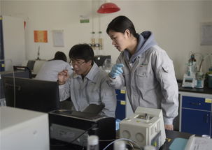 发展新材料产业 绥江县助推高质量发展的战略路径